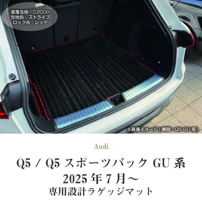 AUDI�i�A�E�f�B�j�@�A�E�f�BQ5�@�g�����N�}�b�g