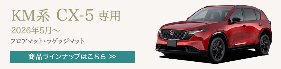 �V�^CX-5
