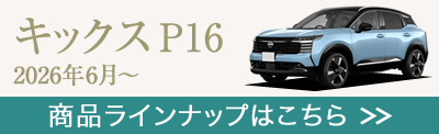 �L�b�N�XP16