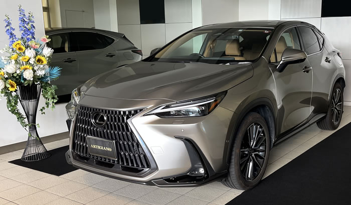 レクサスNX20系 フロアマット レクサスNX 社外フロアマット NX20系 アクセサリー 内装カスタム パーツ カスタムパーツ 車内品 ドレスアップ レクサス 専用設計 社外品 傷防止 汚れ 高級 NX250 NX450h+ 350h OVERTRAIL オーバートレイル 350 fスポーツ バージョンL ムーンデザート ソリスホワイト ダークローズ ヘーゼル フレアレッド モノリス トランク ラゲッジ 運転席