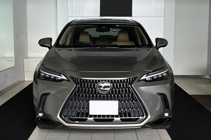 レクサスNX20系 フロアマット レクサスNX 社外フロアマット NX20系 アクセサリー 内装カスタム パーツ カスタムパーツ 車内品 ドレスアップ レクサス 専用設計 社外品 傷防止 汚れ 高級 NX250 NX450h+ 350h OVERTRAIL オーバートレイル 350 fスポーツ バージョンL ムーンデザート ソリスホワイト ダークローズ ヘーゼル フレアレッド モノリス トランク ラゲッジ 運転席