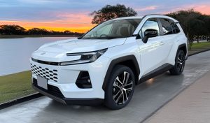 新型 RAV4 Zグレード アドベンチャー 専用 フロアマット ラゲッジマット 社外品 車内 内装 納車前 トランク ラゲージ カーゴ 汚れ防止 傷防止 便利アイテム カスタム