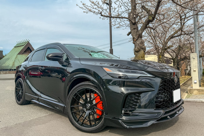 レクサスRX Fスポーツ バージョンL 500h 450h+ 350h 350 ダークセピア ソリスホワイト ダークローズ 社外品マット フロアマット ラゲッジマット ブラウン 赤