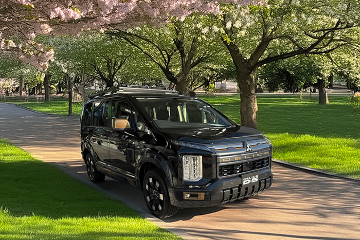 新型デリカ デリカd5 トランクマット 荷室 ラゲッジ ラゲージ 汚れ防止 マット 防水 カー用品